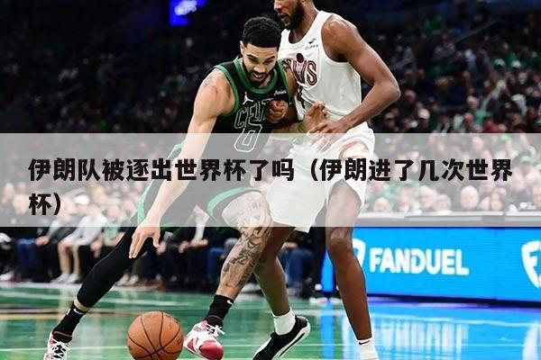 伊朗隊被逐出世界杯了嗎（伊朗進了幾次世界杯）