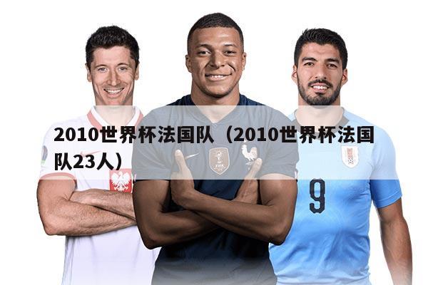 2010世界杯法國隊（2010世界杯法國隊23人）