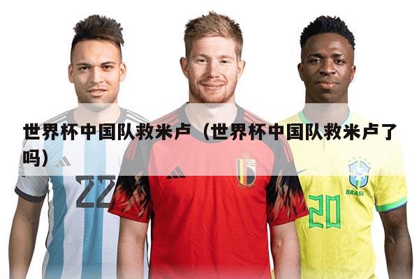 世界杯中國隊救米盧（世界杯中國隊救米盧了嗎）