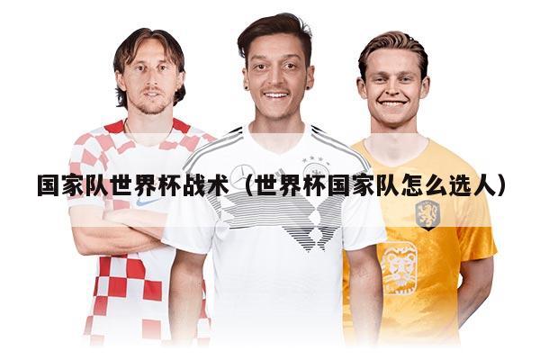 國家隊世界杯戰(zhàn)術(shù)（世界杯國家隊怎么選人）