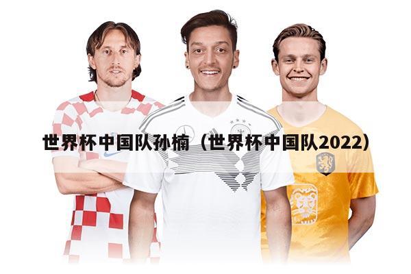 世界杯中國隊孫楠（世界杯中國隊2022）