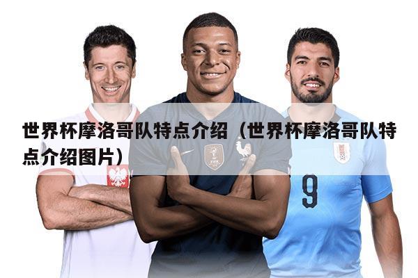 世界杯摩洛哥隊(duì)特點(diǎn)介紹（世界杯摩洛哥隊(duì)特點(diǎn)介紹圖片）