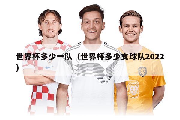 世界杯多少一隊（世界杯多少支球隊2022）