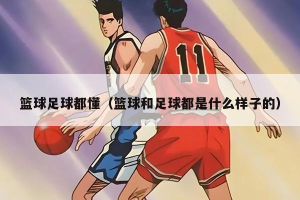 籃球足球都懂（籃球和足球都是什么樣子的）