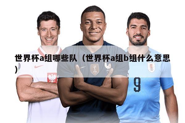 世界杯a組哪些隊（世界杯a組b組什么意思）