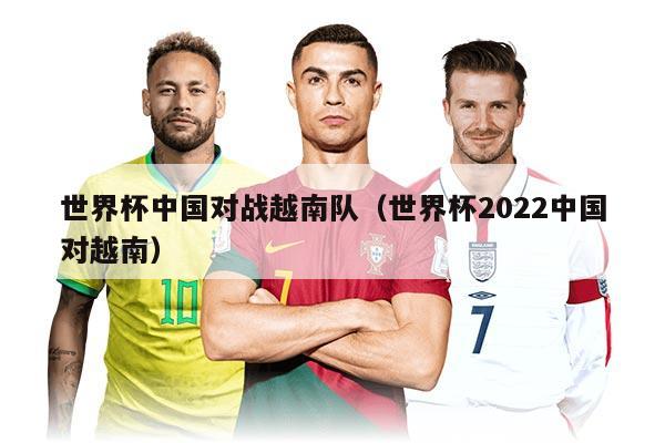 世界杯中國(guó)對(duì)戰(zhàn)越南隊(duì)（世界杯2022中國(guó)對(duì)越南）