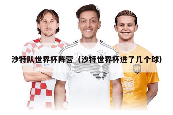 沙特隊(duì)世界杯陣營（沙特世界杯進(jìn)了幾個(gè)球）