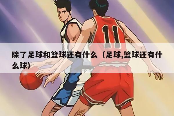 除了足球和籃球還有什么（足球,籃球還有什么球）