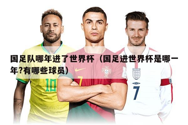 國足隊(duì)哪年進(jìn)了世界杯（國足進(jìn)世界杯是哪一年?有哪些球員）