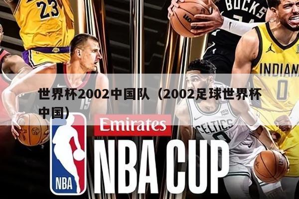 世界杯2002中國(guó)隊(duì)（2002足球世界杯中國(guó)）
