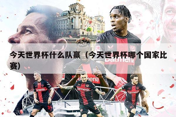 今天世界杯什么隊(duì)贏（今天世界杯哪個(gè)國家比賽）