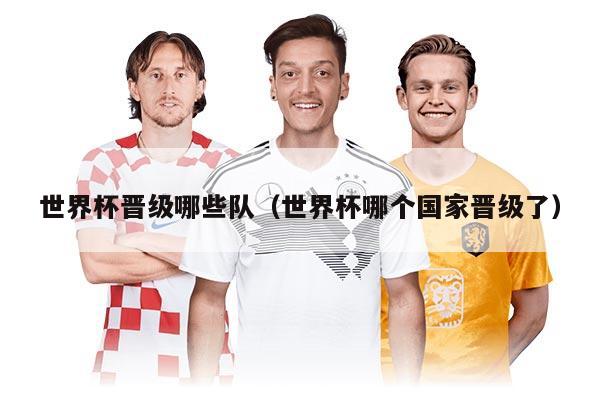 世界杯晉級哪些隊（世界杯哪個國家晉級了）