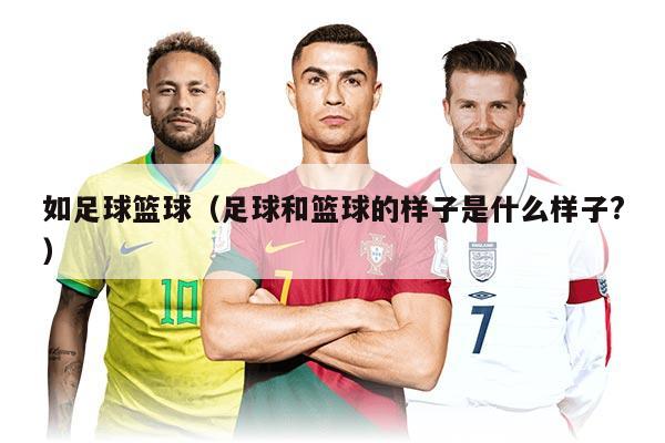 如足球籃球（足球和籃球的樣子是什么樣子?）