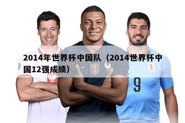 2014年世界杯中國隊（2014世界杯中國12強成績）