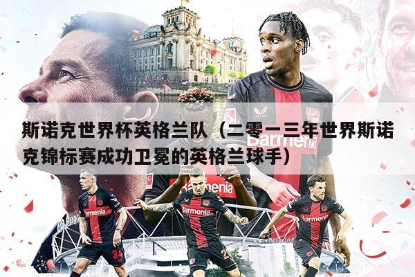 斯諾克世界杯英格蘭隊（二零一三年世界斯諾克錦標(biāo)賽成功衛(wèi)冕的英格蘭球手）