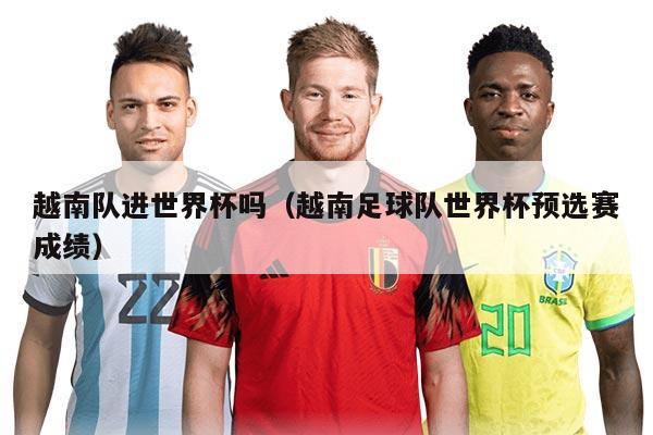 越南隊(duì)進(jìn)世界杯嗎(越南足球隊(duì)世界杯預(yù)選賽成績)