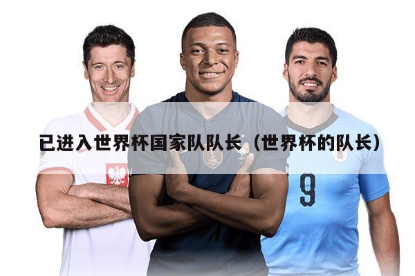 已進(jìn)入世界杯國家隊(duì)隊(duì)長（世界杯的隊(duì)長）
