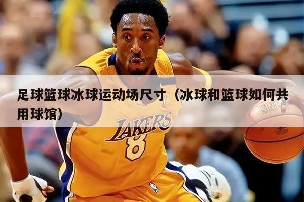 足球籃球冰球運(yùn)動(dòng)場(chǎng)尺寸（冰球和籃球如何共用球館）
