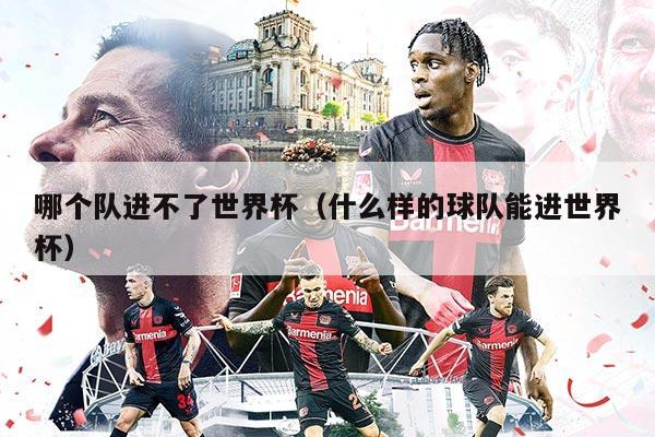 哪個(gè)隊(duì)進(jìn)不了世界杯（什么樣的球隊(duì)能進(jìn)世界杯）