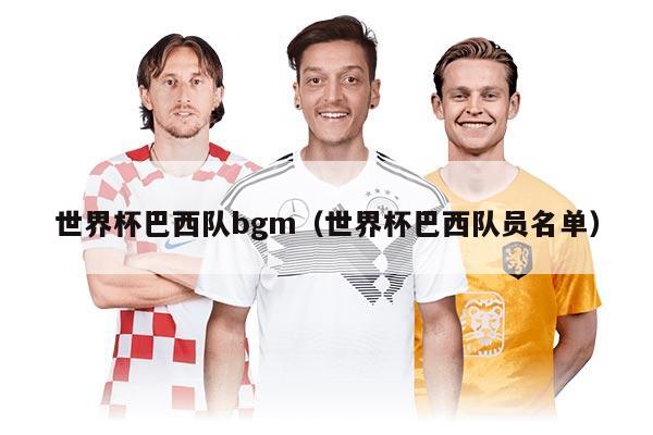 世界杯巴西隊bgm（世界杯巴西隊員名單）