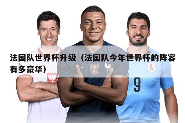 法國隊世界杯升級（法國隊今年世界杯的陣容有多豪華）