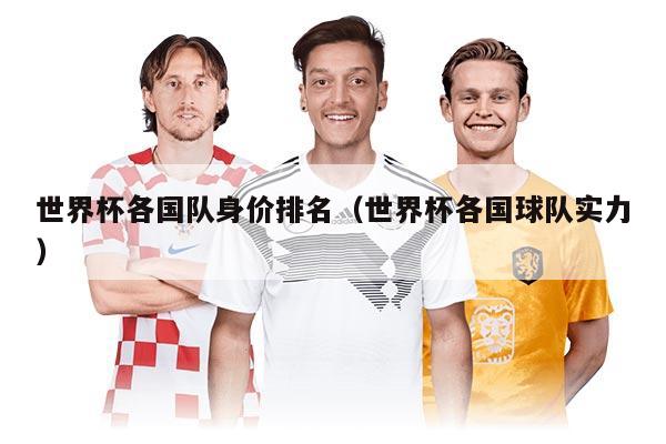 世界杯各國隊身價排名（世界杯各國球隊實力）