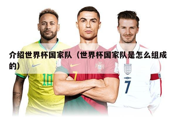 介紹世界杯國(guó)家隊(duì)（世界杯國(guó)家隊(duì)是怎么組成的）