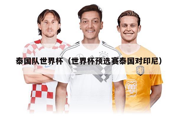 泰國(guó)隊(duì)世界杯(世界杯預(yù)選賽泰國(guó)對(duì)印尼)